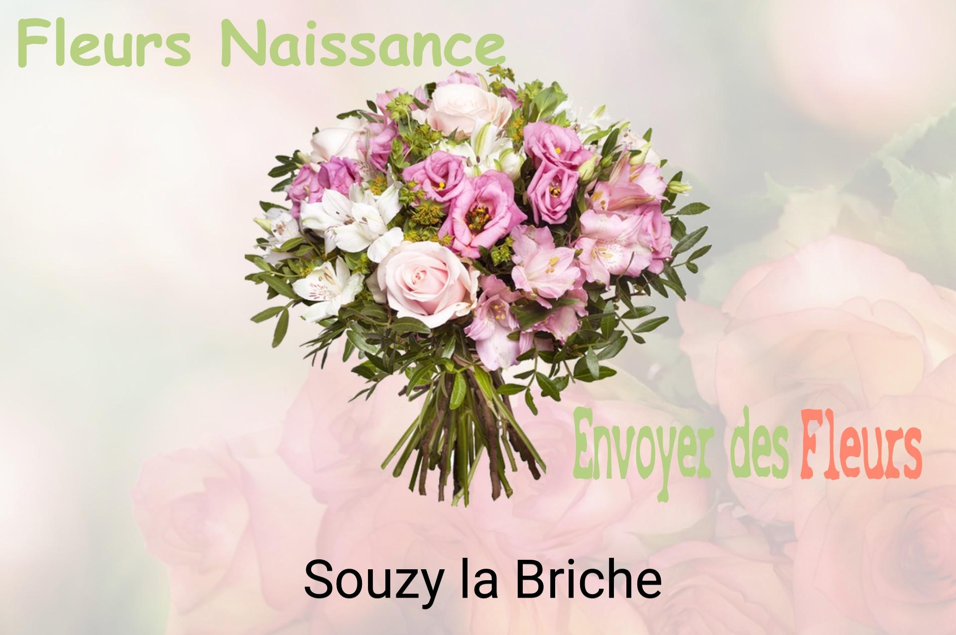 Bouquet de fleurs de naissance livré à Souzy-la-Briche